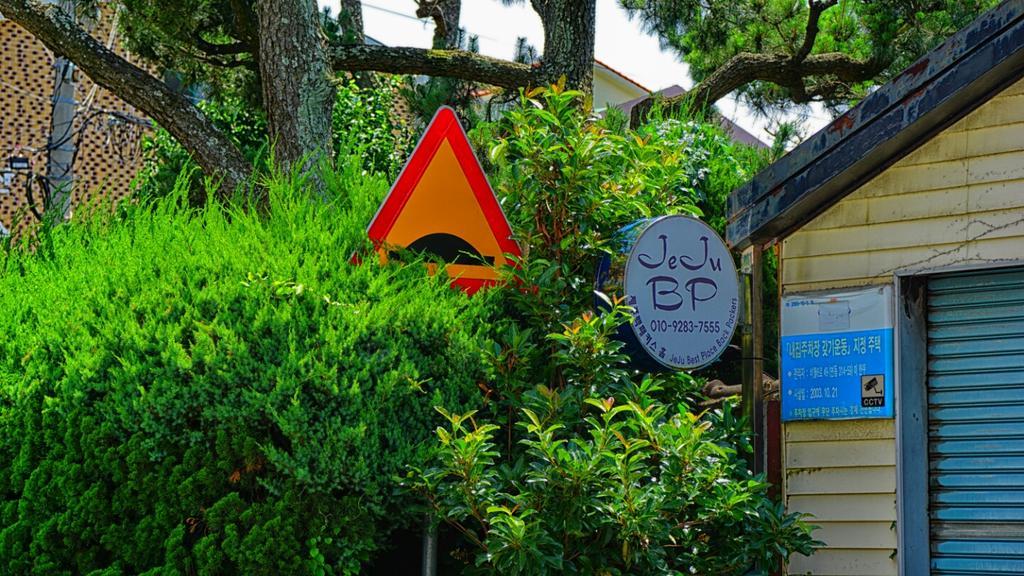 Jeju B.P. Guesthouse מראה חיצוני תמונה